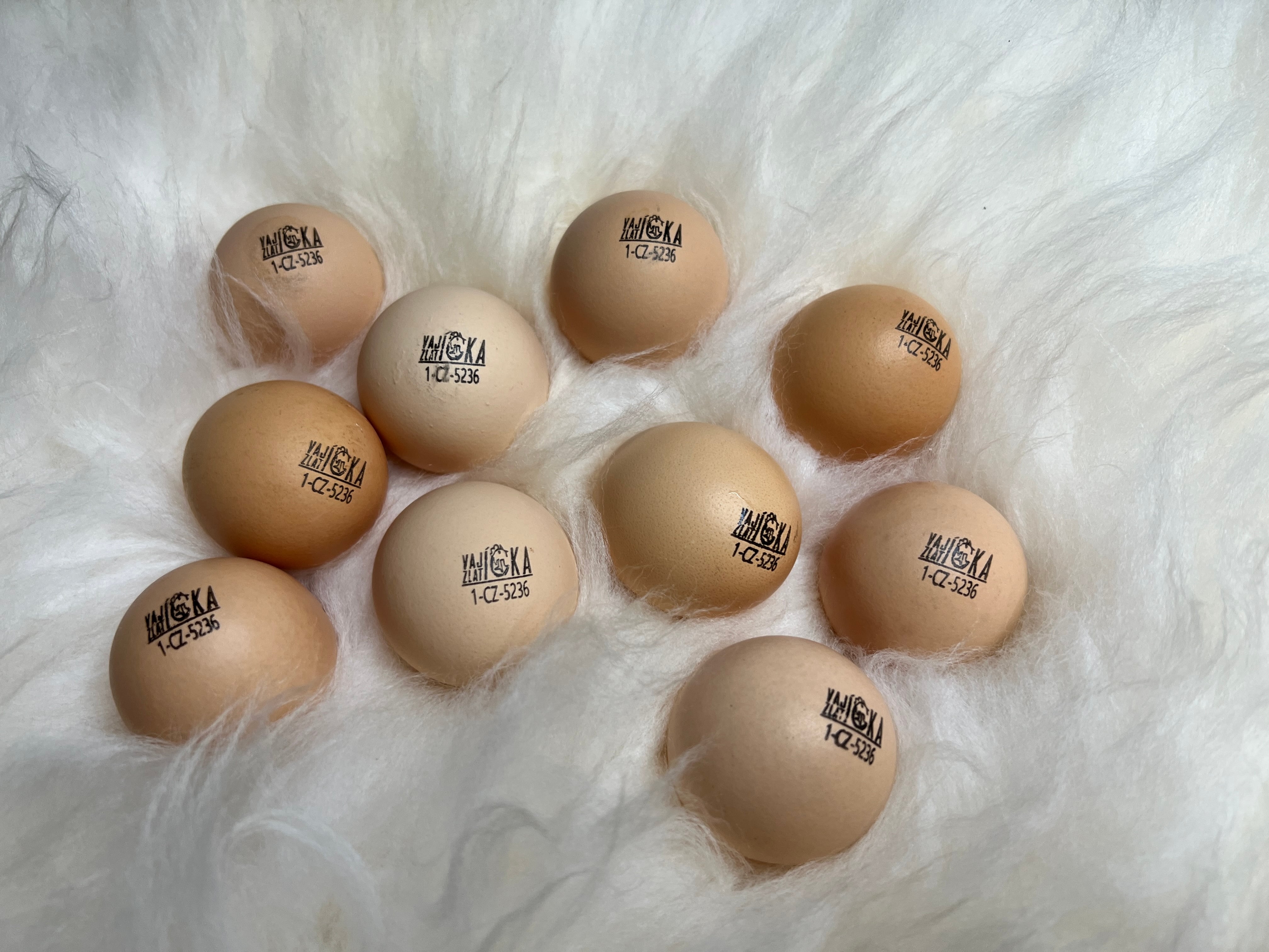 Farmář Radka Kubičná, prostředí 1