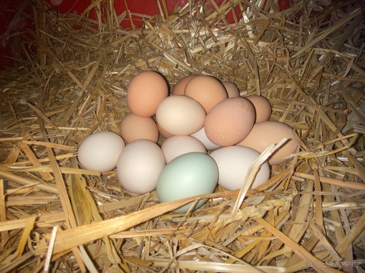 Farmář Tomáš Borl, prostředí 3