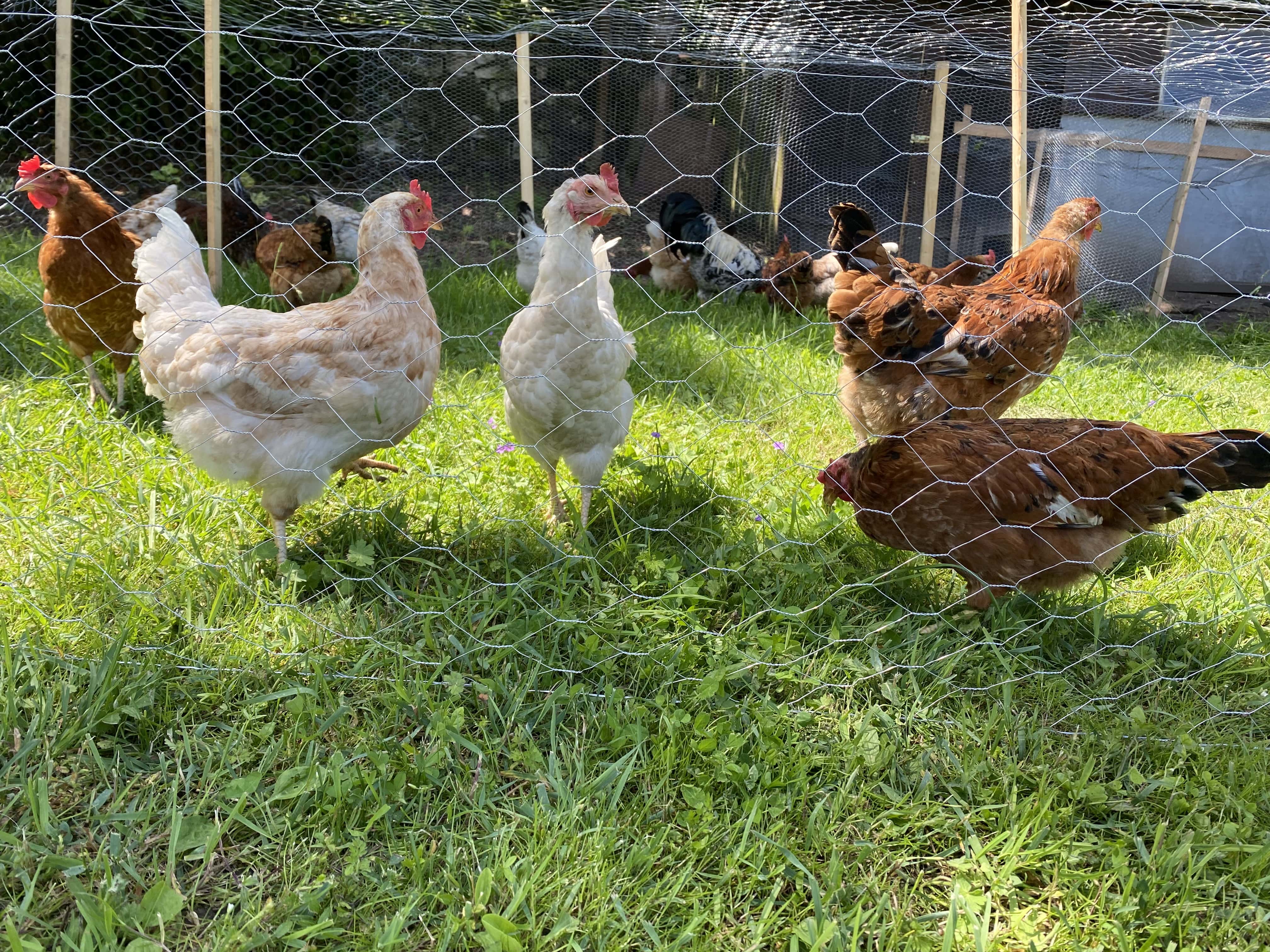 Farmář Tomáš Borl, prostředí 1